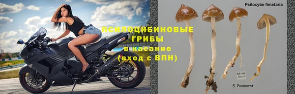 бутират Алексеевка