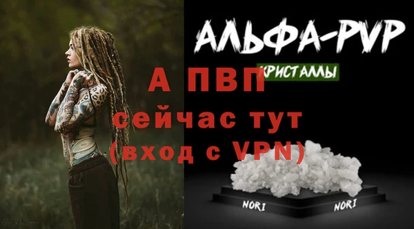 винт Алексин