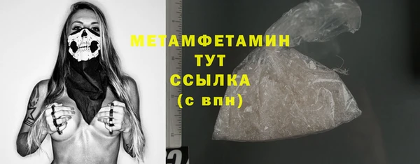 прущие грибы Осташков