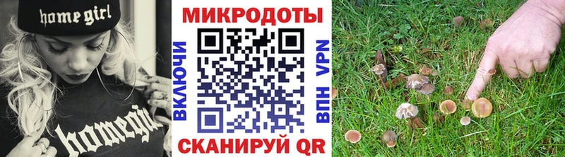 Галлюциногенные грибы мицелий закладки Бежецк
